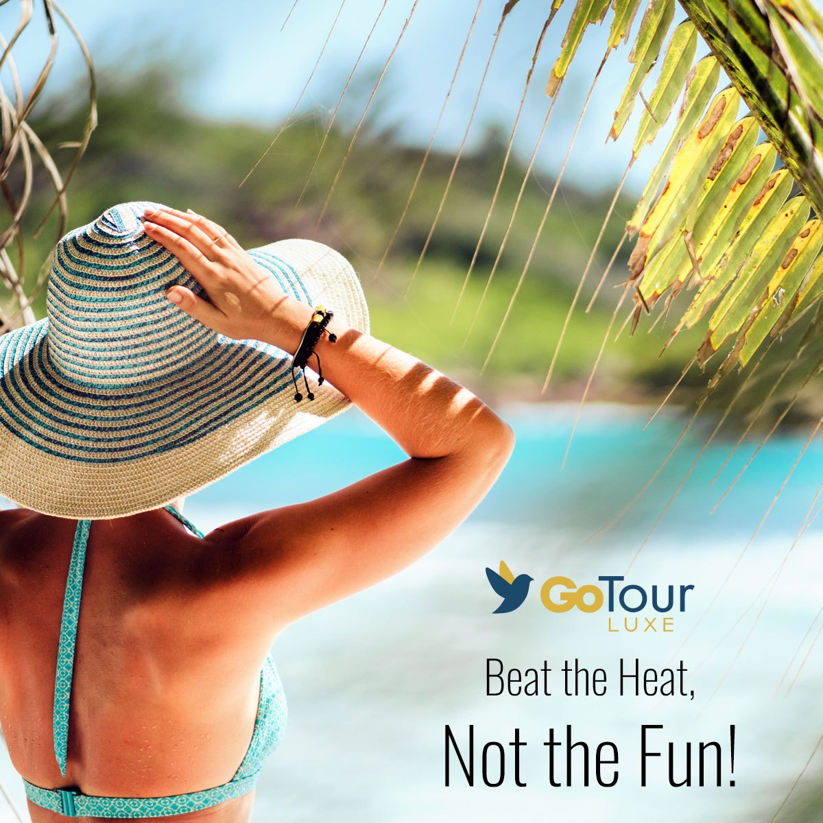 Go Tour Luxe