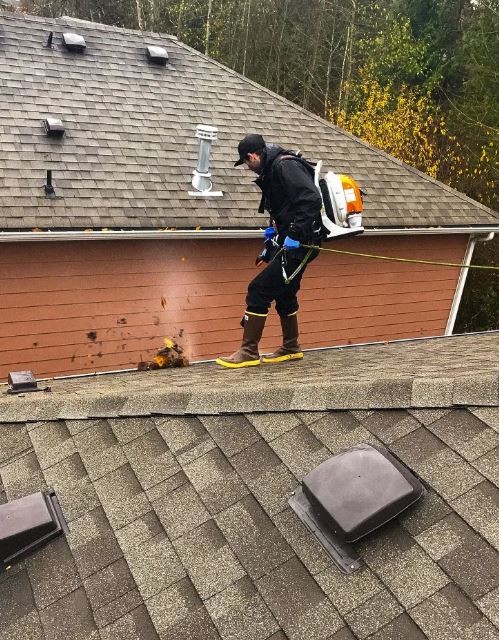 SAFE Roof Cleaning Moss Removal and Gutter Cleaning