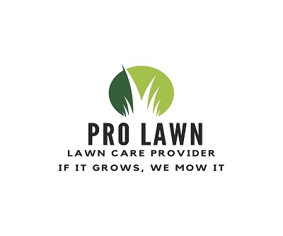 The Pro Lawn