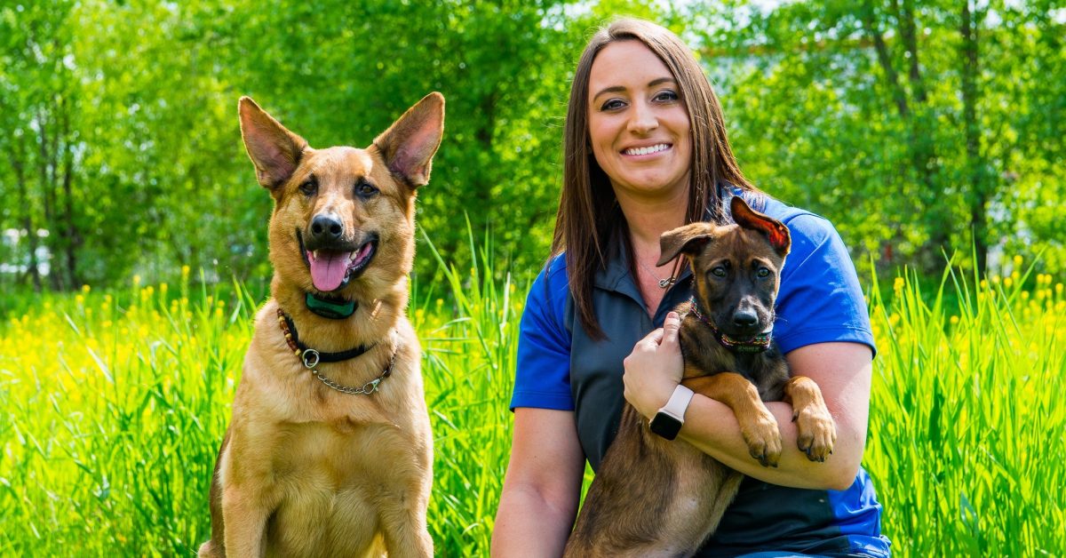 Sit Means Sit Dog Training Madison