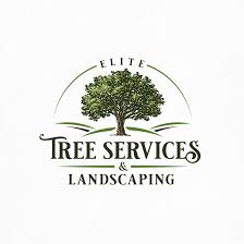 Mohsin tree service