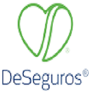 DeSeguros, LLC