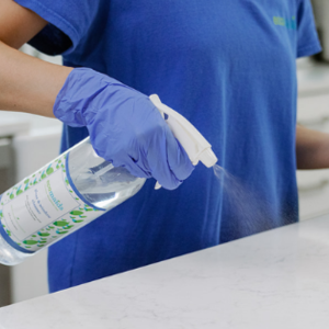 Cleenora Maids and Cleaning Services Malibu
