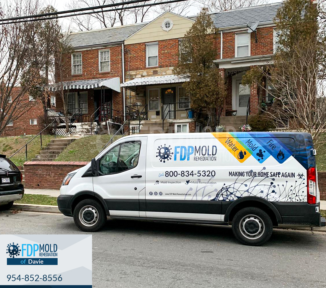 FDP Mold Remediation of Davie