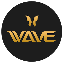 Wave Plastic Surgery & Aesthetic Laser Center Costa Mesa