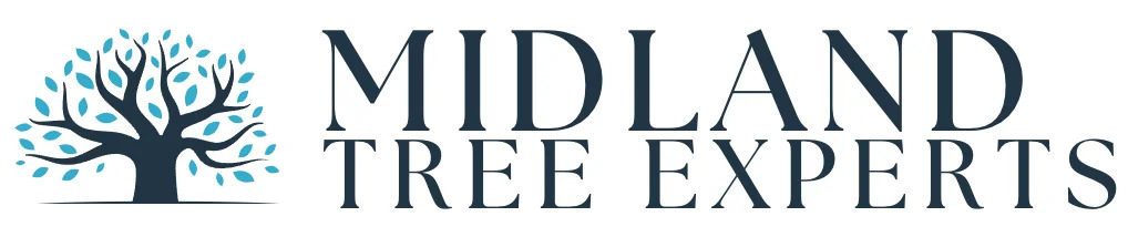 Midland Tree Experts