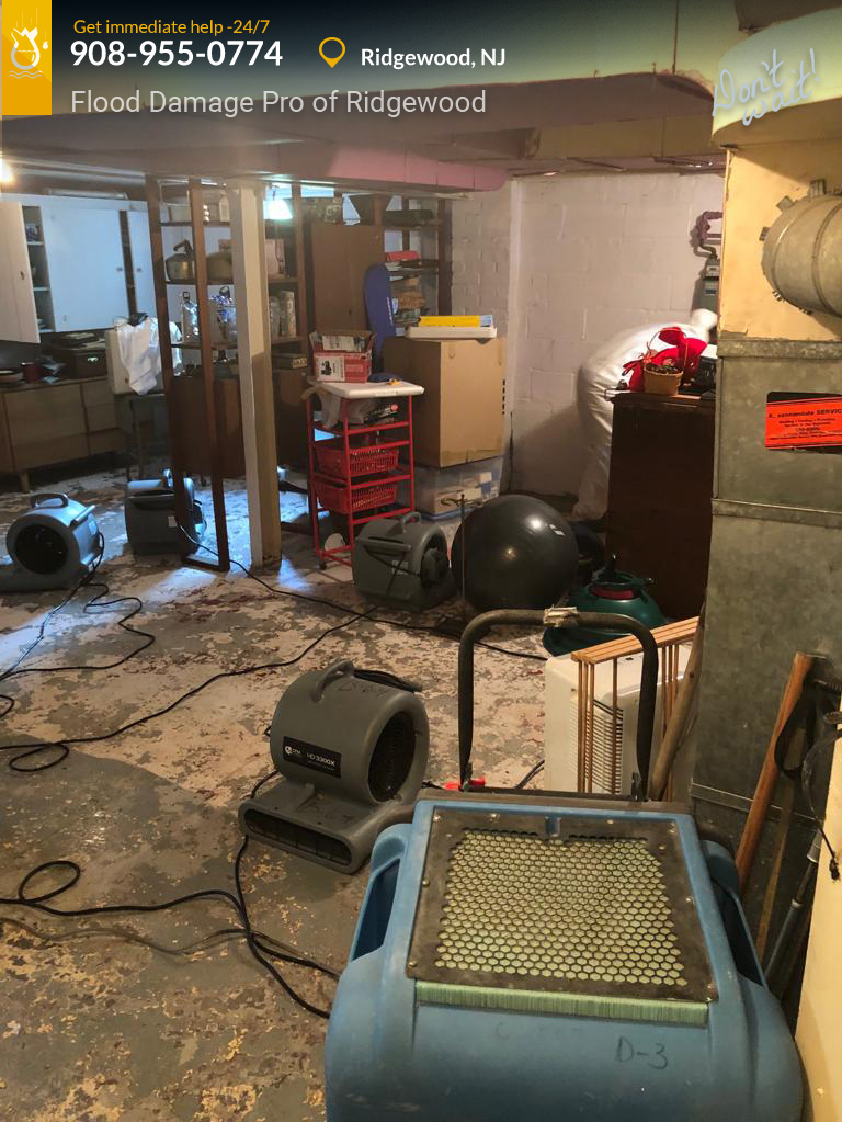 Flood Damage Pro of Ridgewood