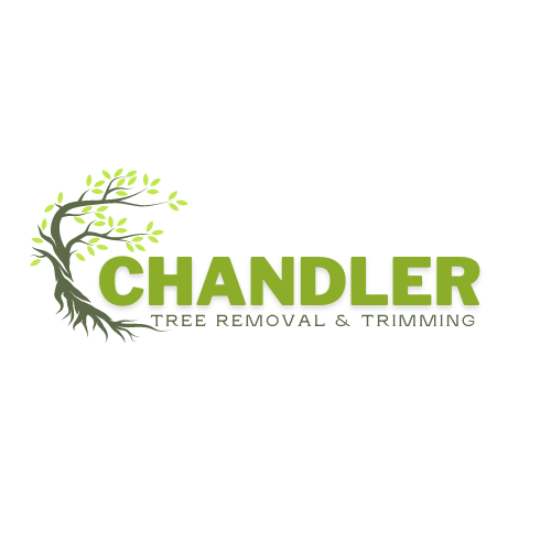 Chandler Tree Removal and Trimming