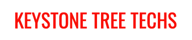 Keystone Tree Techs