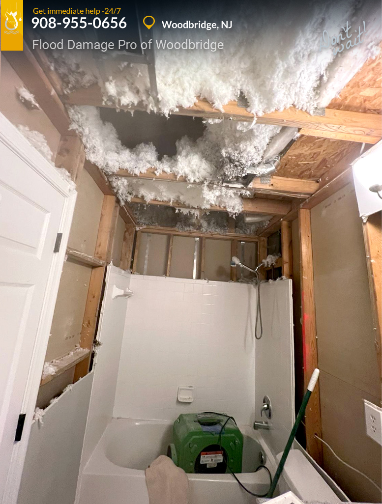 Flood Damage Pro of Woodbridge