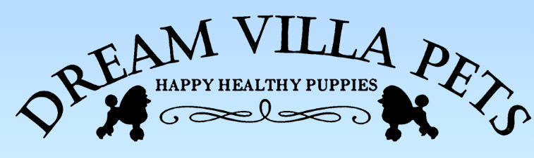 Dream Villa Pets