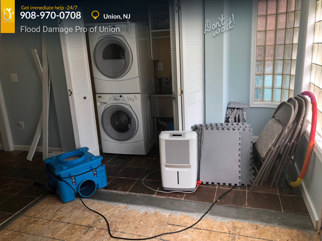 Flood Damage Pro of Union