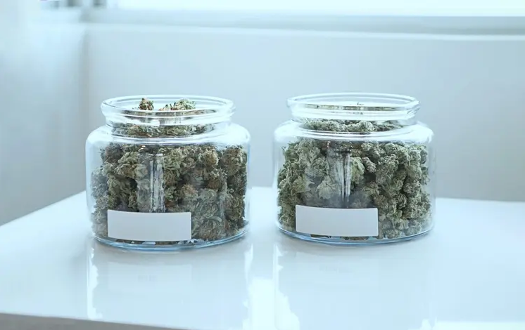 Leafwell - Medical Card Louisiana