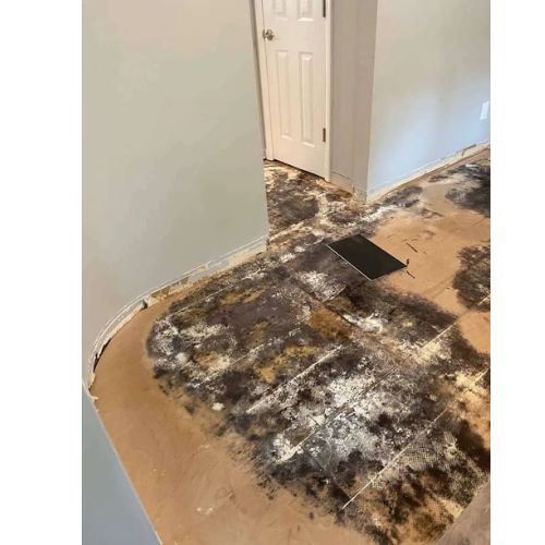 Restoration Pros NY - Belle Terre NY