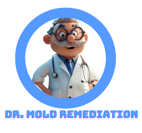 Dr Mold Remediation