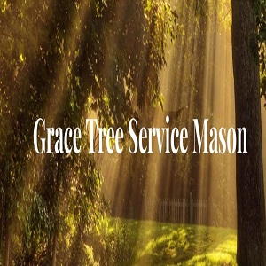 Grace Tree Service Mason