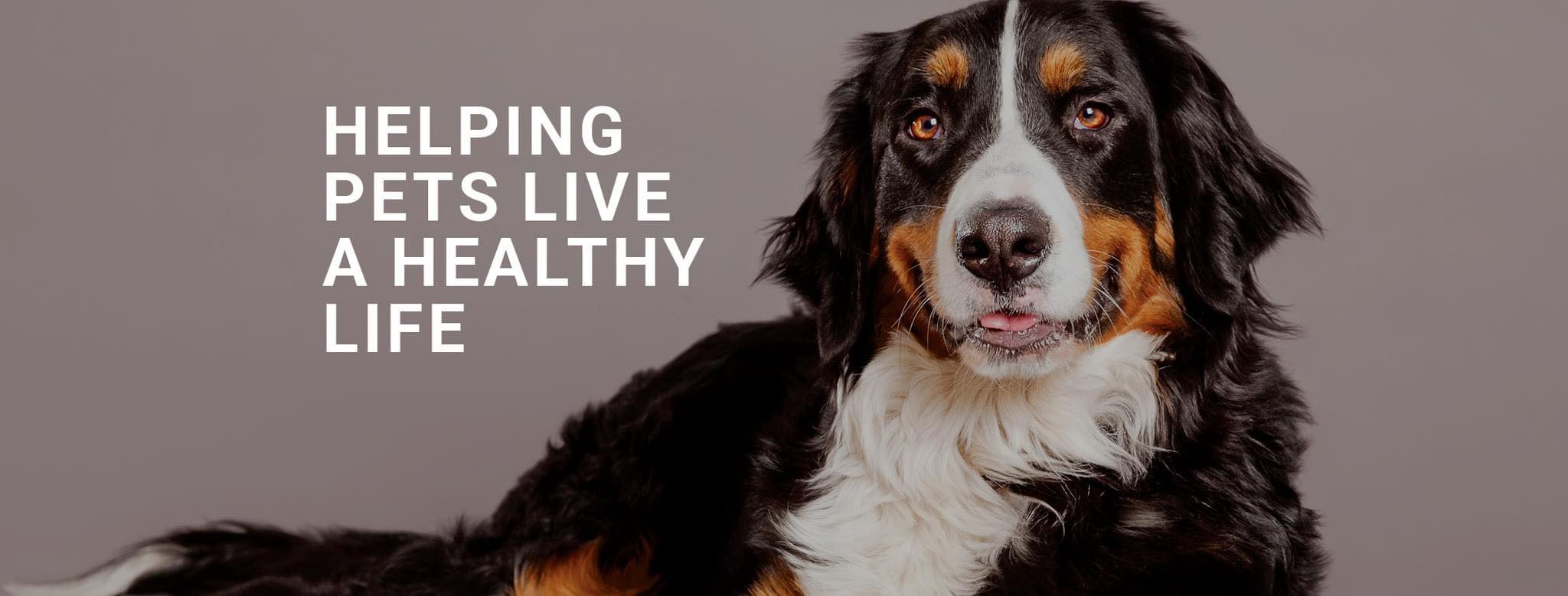Pet Evolution - Richmond, TX - Grooming | Self-Wash | Healthy Food