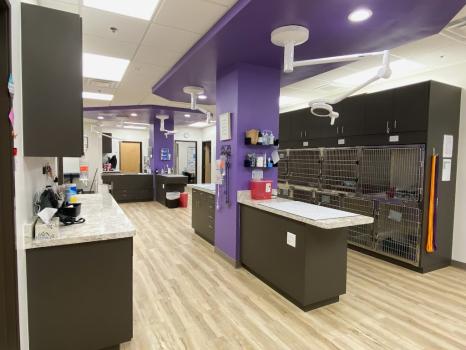 East Valley Urgent Pet Care