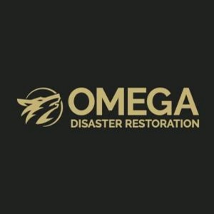 Omega Disaster Restoration Lynchburg VA