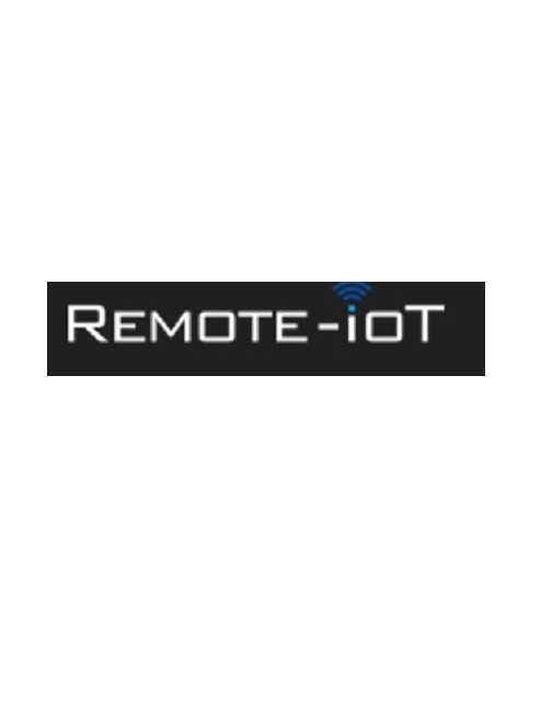Remote access to IoT real-time information, real benefits