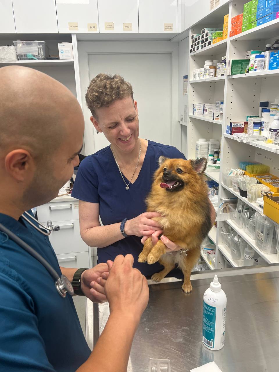 Beach Avenue Animal Hospital