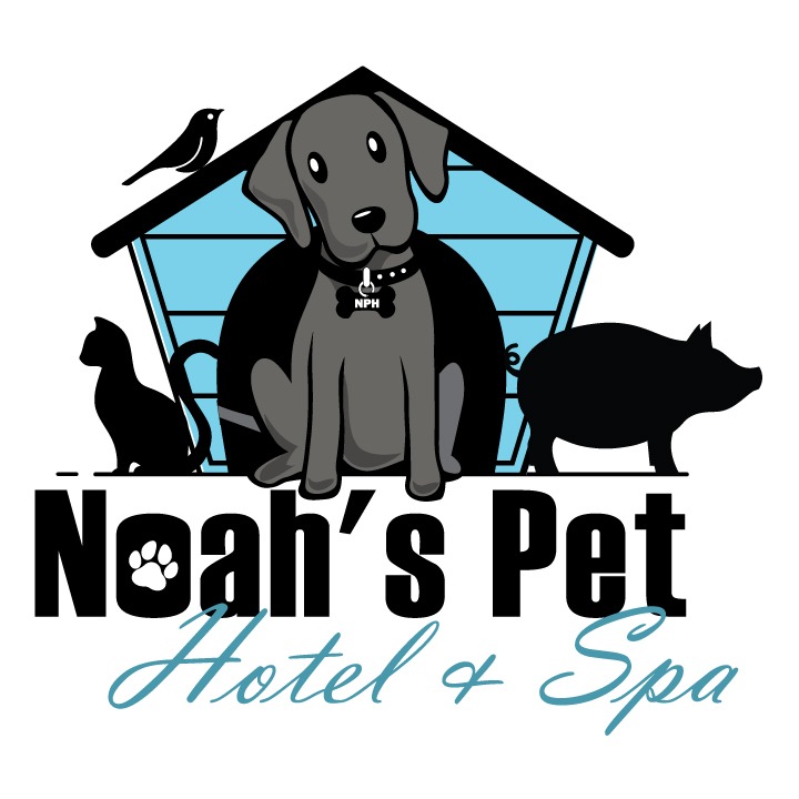Noah's Pet Hotel & Spa