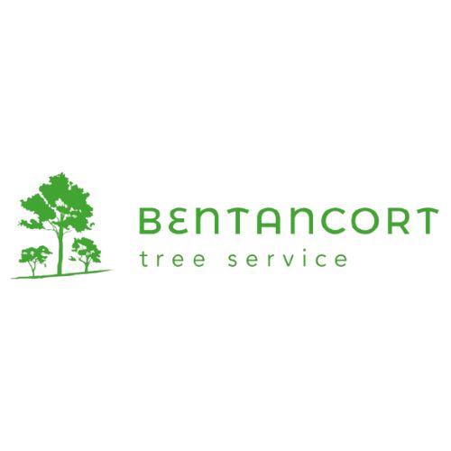 Bentancort Tree Service