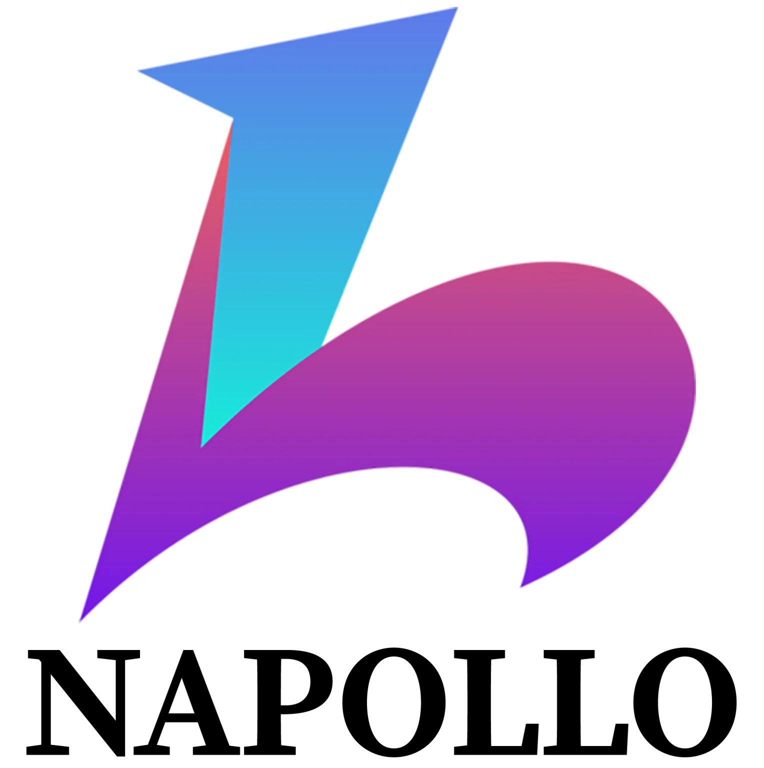 Napollo Software Design