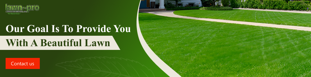 Lawn-Pro Lawncare Service