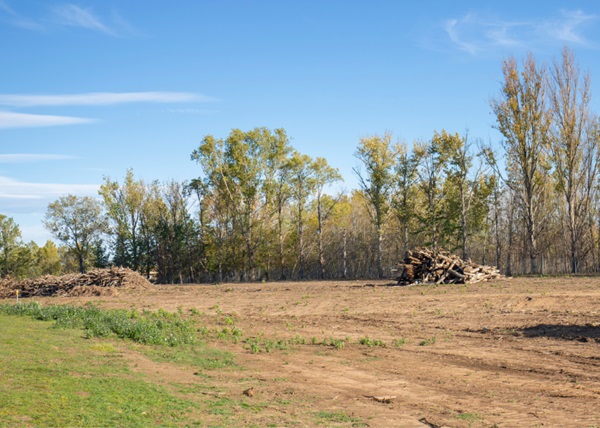 ALPHA PRO LAND SERVICES