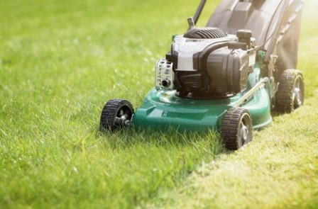 Landscaping Sandy Springs