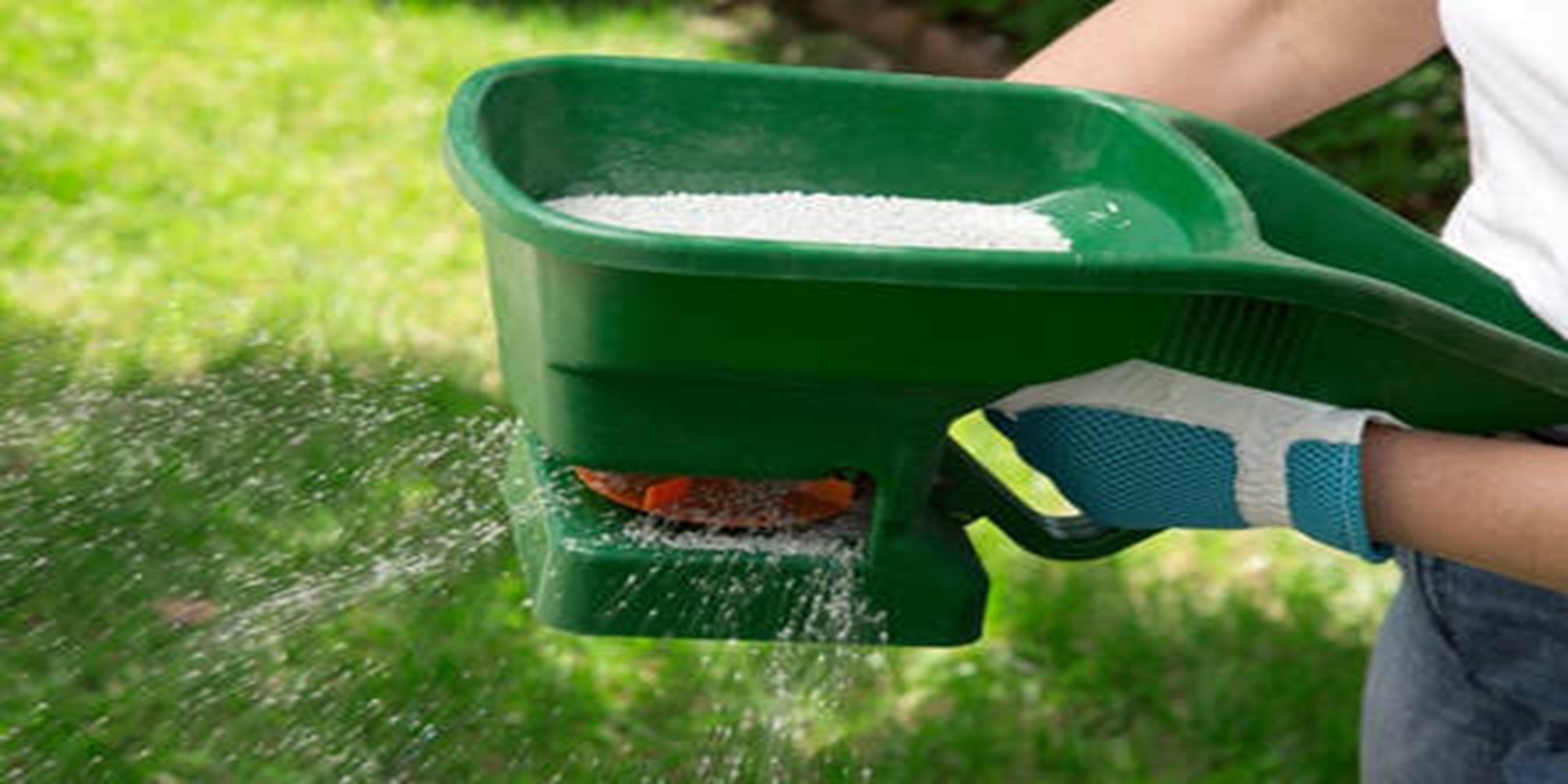 Lawn Care Bethesda