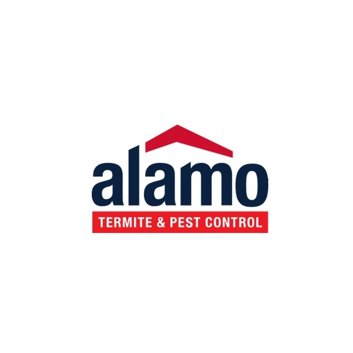 Alamo Termite
