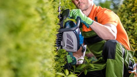 Nottingham Tree Surgeons