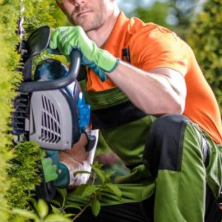 Nottingham Tree Surgeons