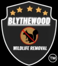 Blythewood Wildlife Removal, Columbia SC