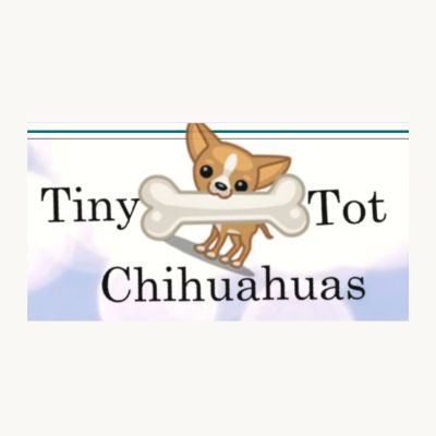 Tiny Tot Chihuahuas