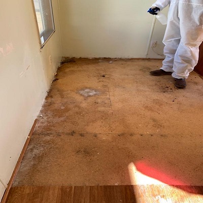 Spaulding Decon - Hoarding & Biohazard Cleanup Kissimmee