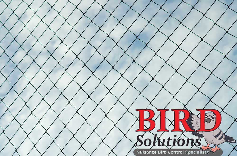 Bird Solutions, Inc