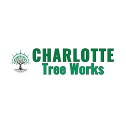 Charlotte Tree Removals