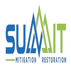 Summit Mitigation Restoration
