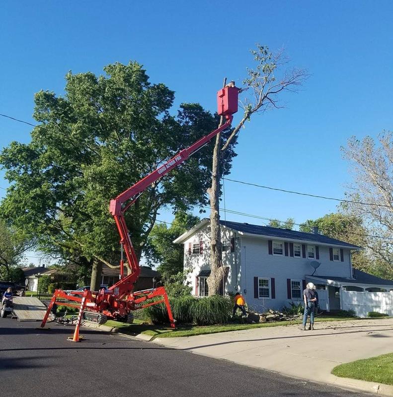 Beyer Enterprises Tree Service