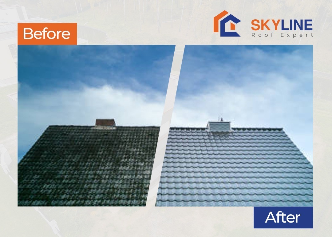Skyline Roof Experts