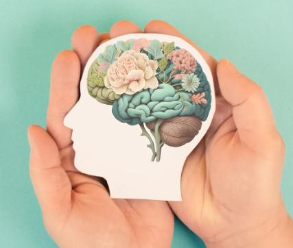 Willow Roots Counselling Services