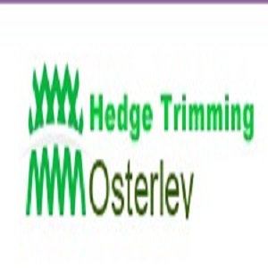 Hedge Trimming Osterley