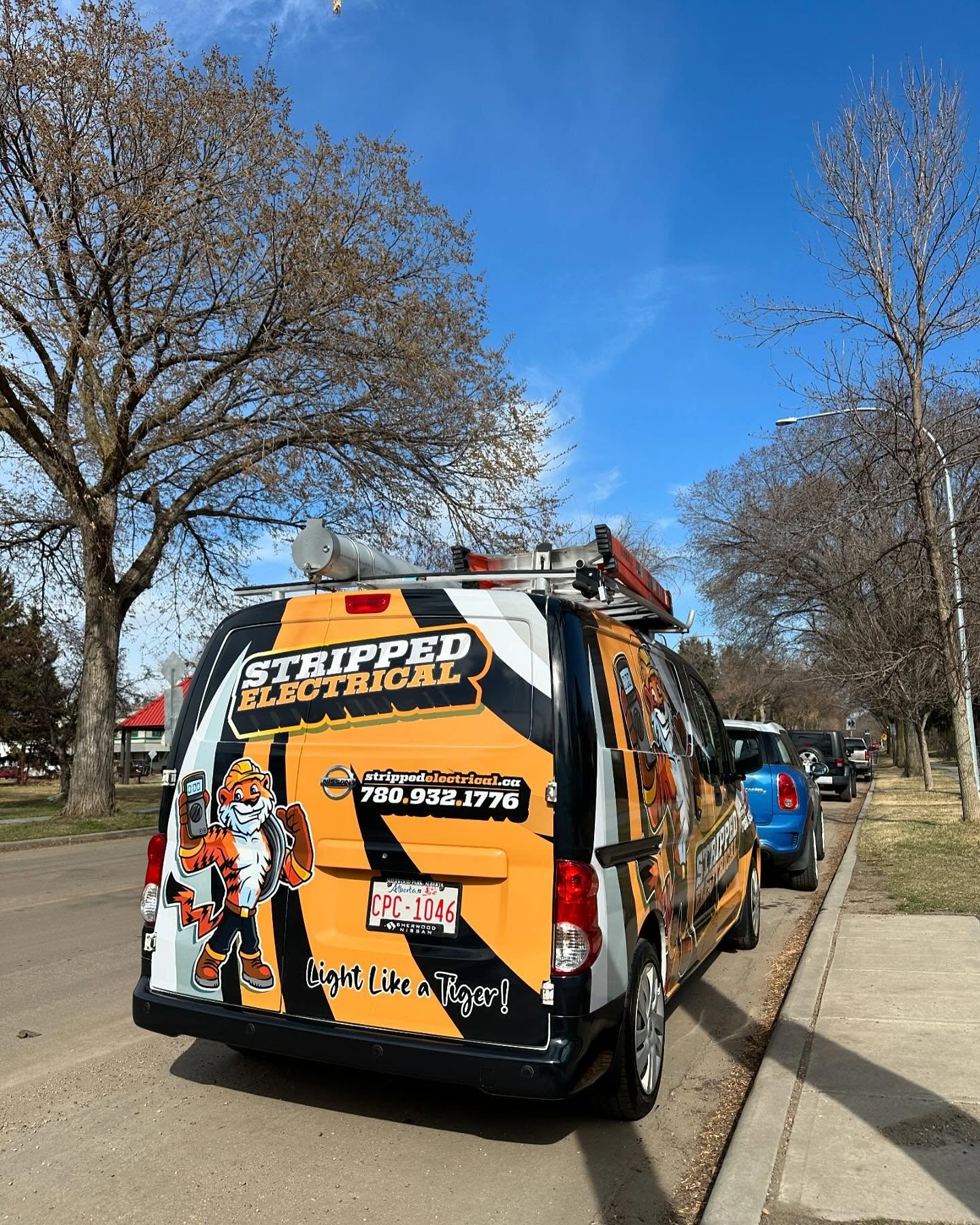 Stripped Electrical Corporation