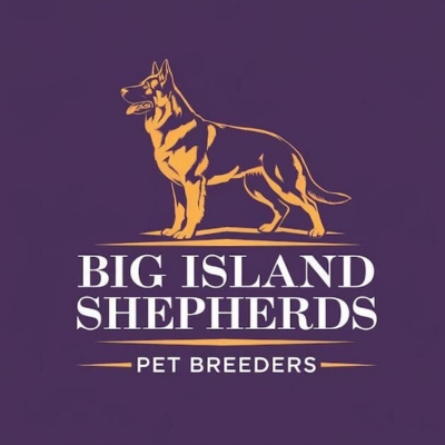 Big Island Shepherds