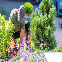 SEA BREEZE LAWN CARE