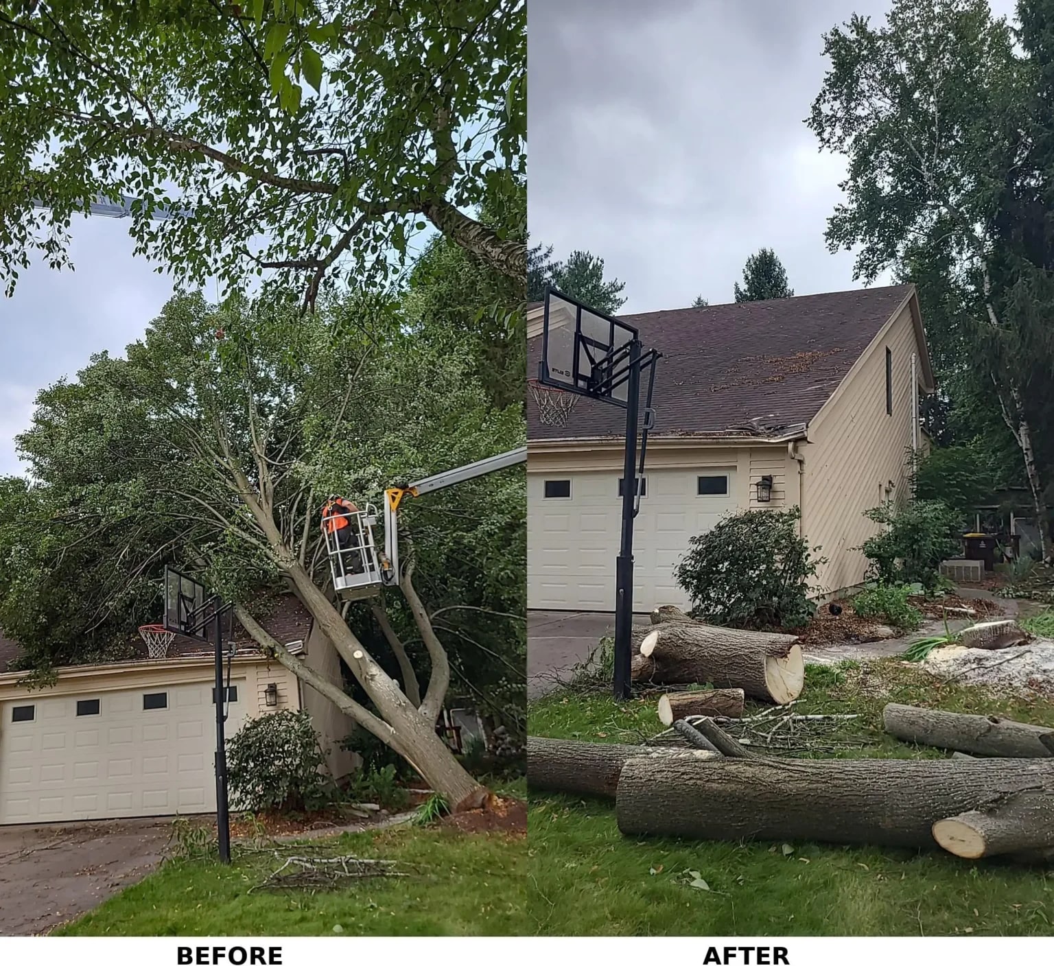 Titletown Emergency Tree Pros
