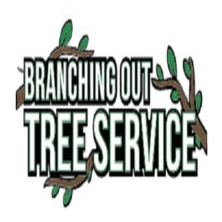 Tree Cutting & Trimming St.James